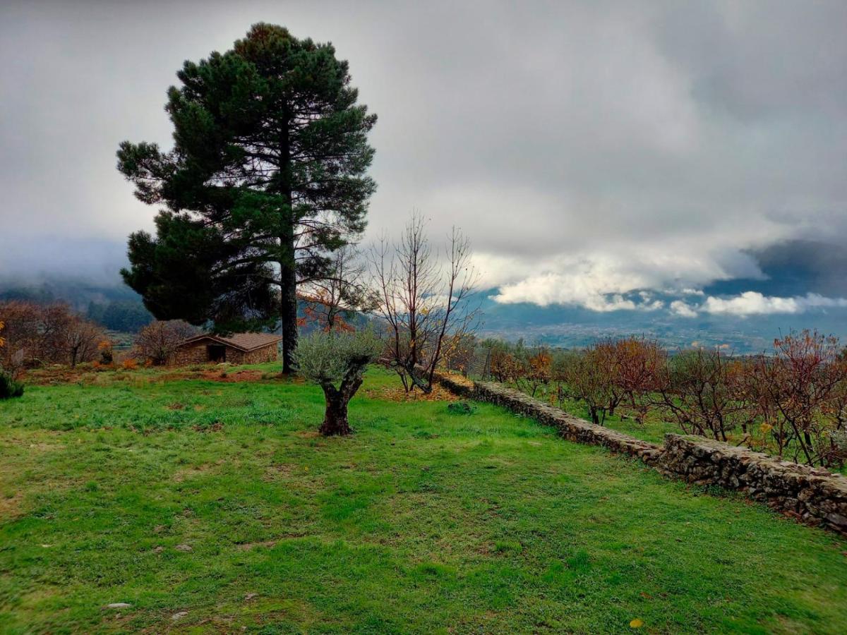 Vila La Cirujana De Gredos San Esteban Del Valle Exteriér fotografie